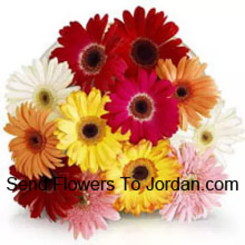 Bunch Of 12 Assorted Colored Gerberas